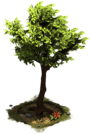 D_SS_StoneAge_Tree-6f5d5088c.png